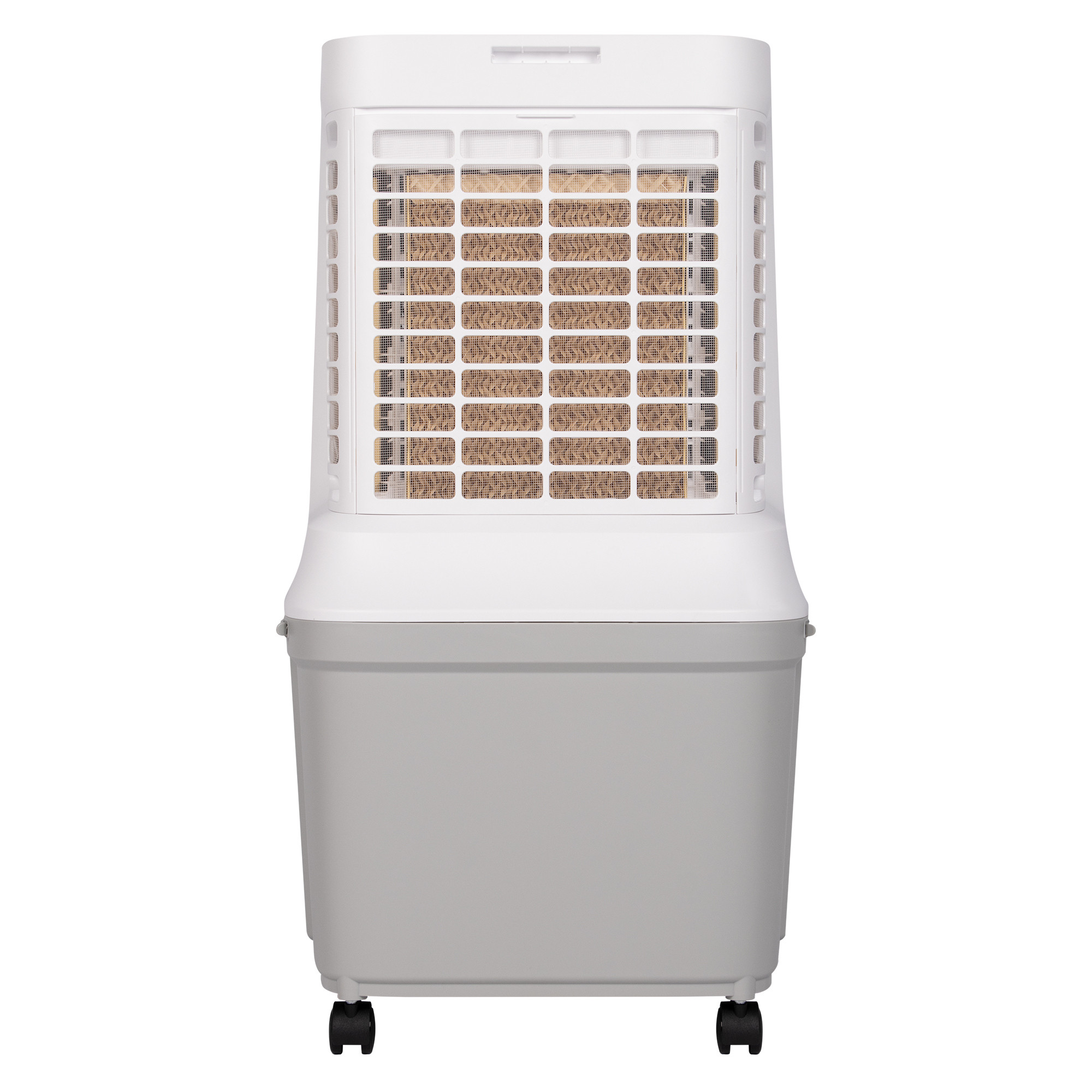 Охладитель воздуха Ballu Cyclone BCOOL-30L CL — детальное фото, обзор